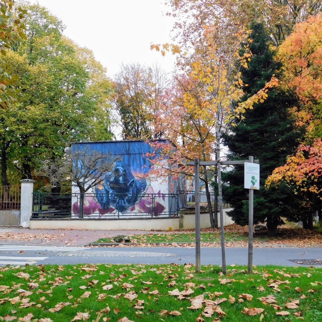 Festival Street Art 2
