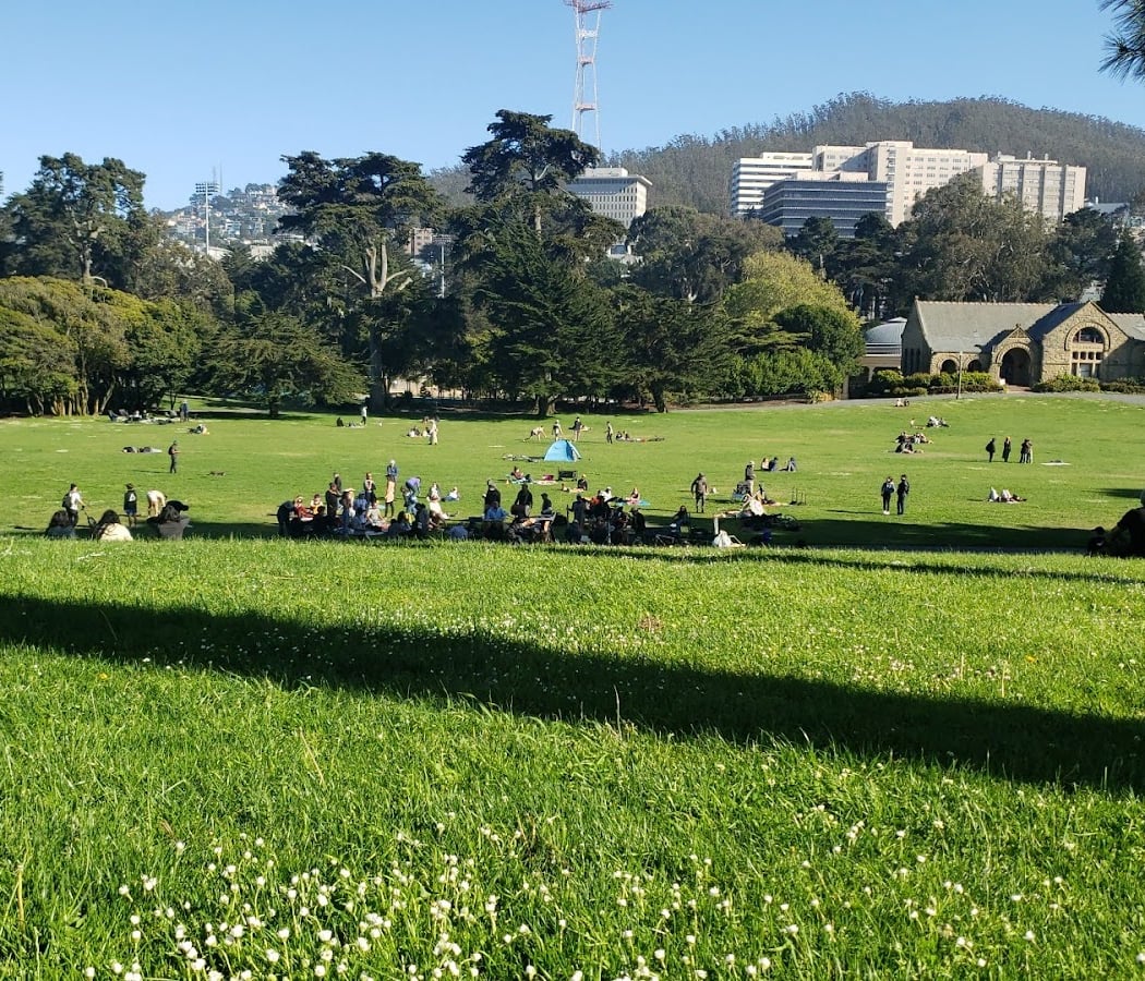 Hippie Hill 3