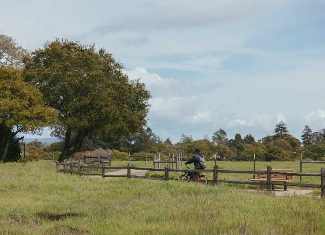 Arana Gulch Trail 1