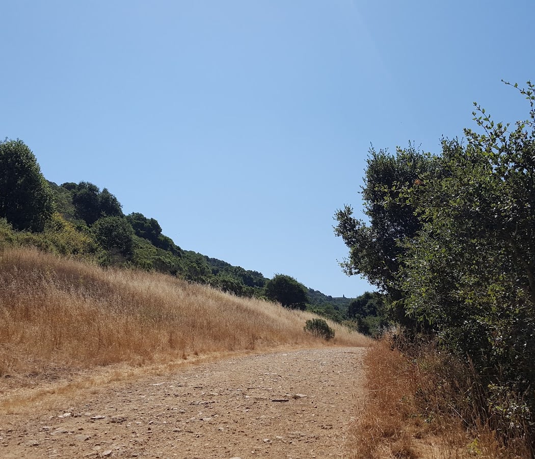 Leona Canyon Regional Open Space Preserve 3