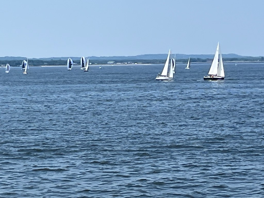 Seastreak 3
