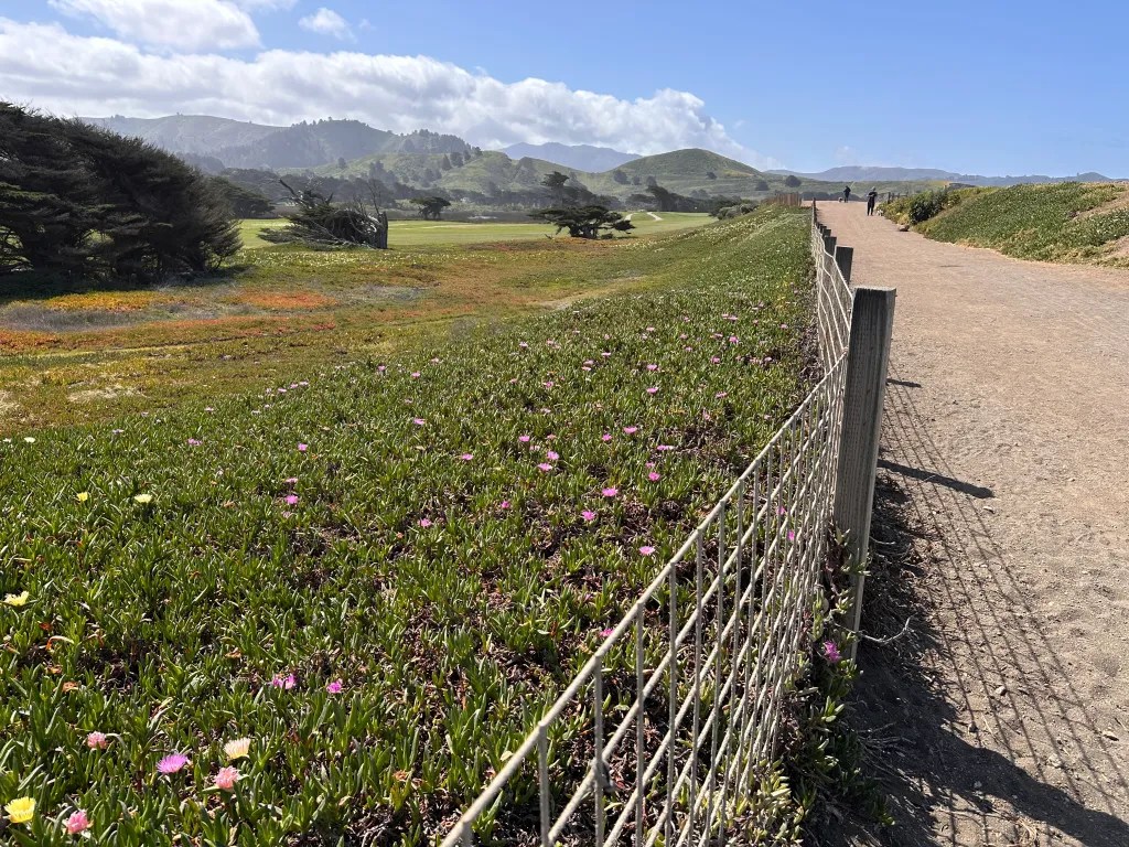Coastal Trail 2