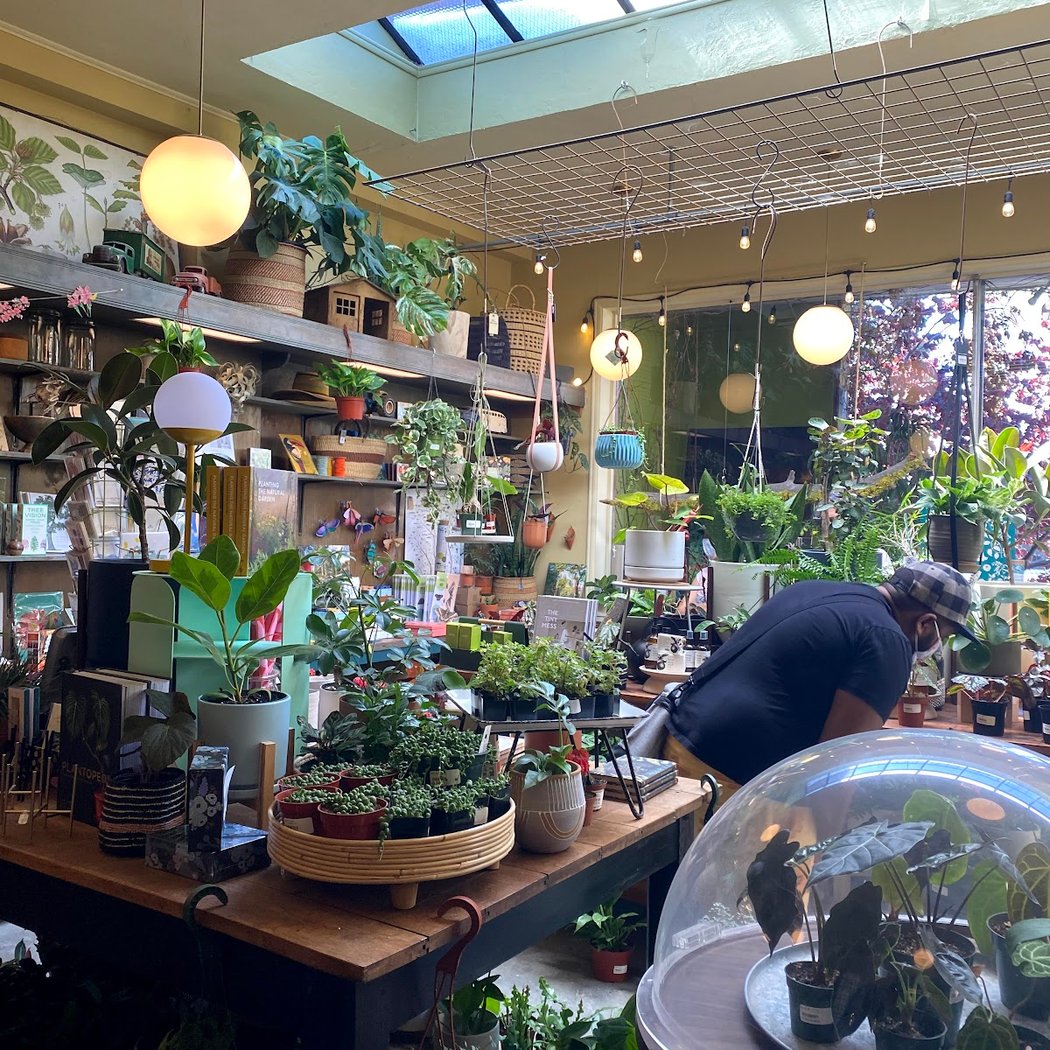 Flowerland Nursery 3