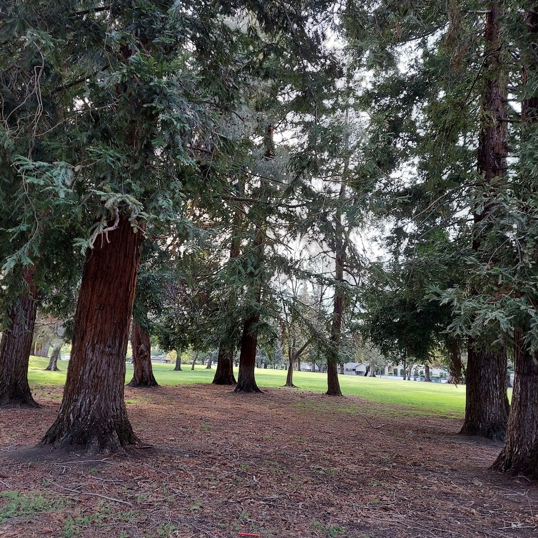Sunrise Park 3