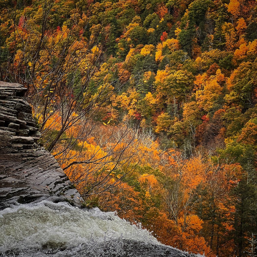 Kaaterskill Falls 2