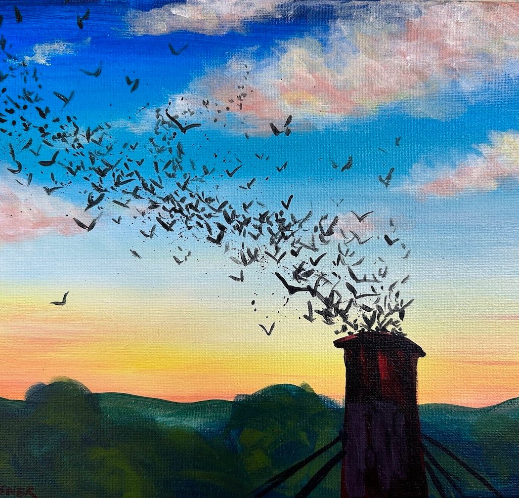 Sunset Swifts - Beginner Acrylic Painting Class