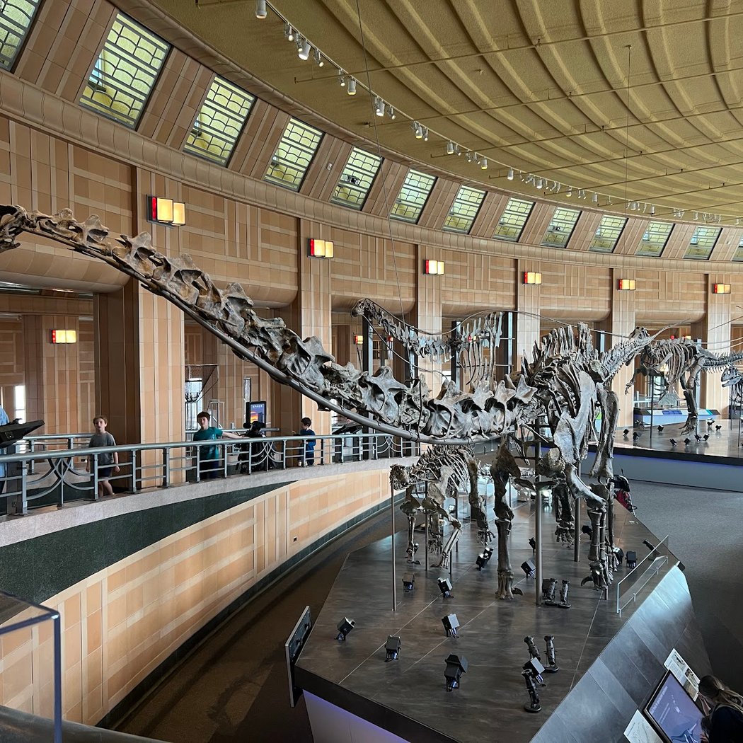 Museum of Natural History & Science 1
