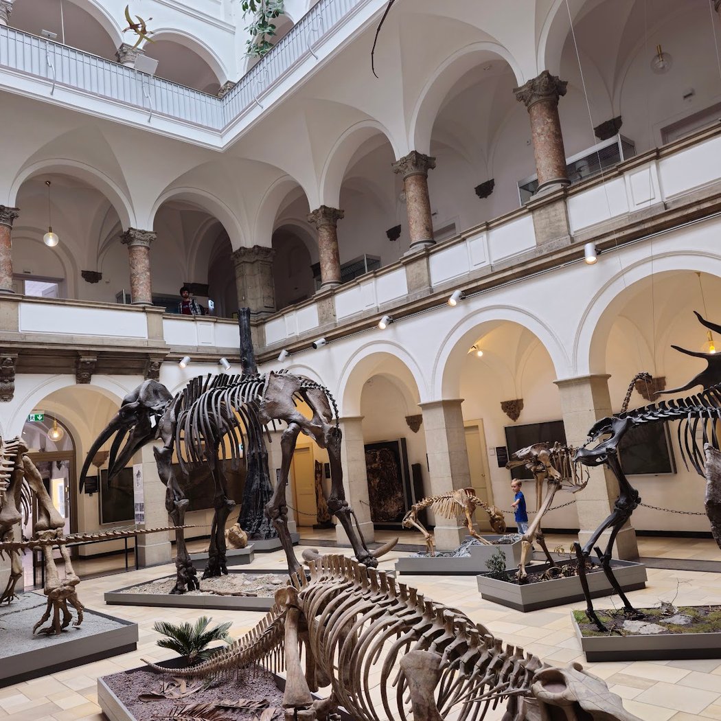 Geologisches Museum München