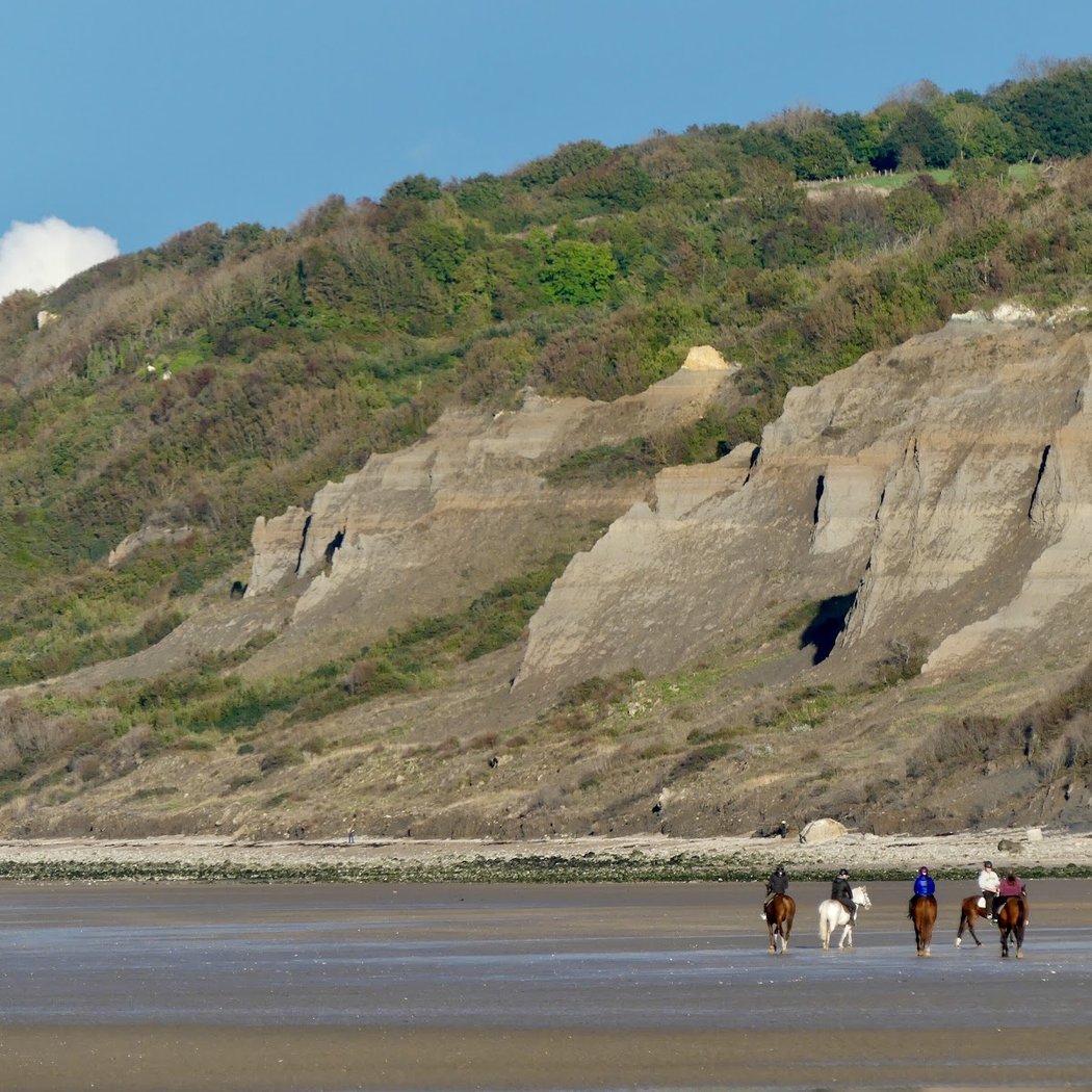 Falaises des Vaches Noires 3