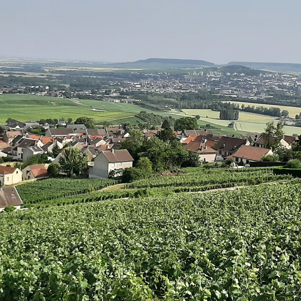 Hautvillers 2