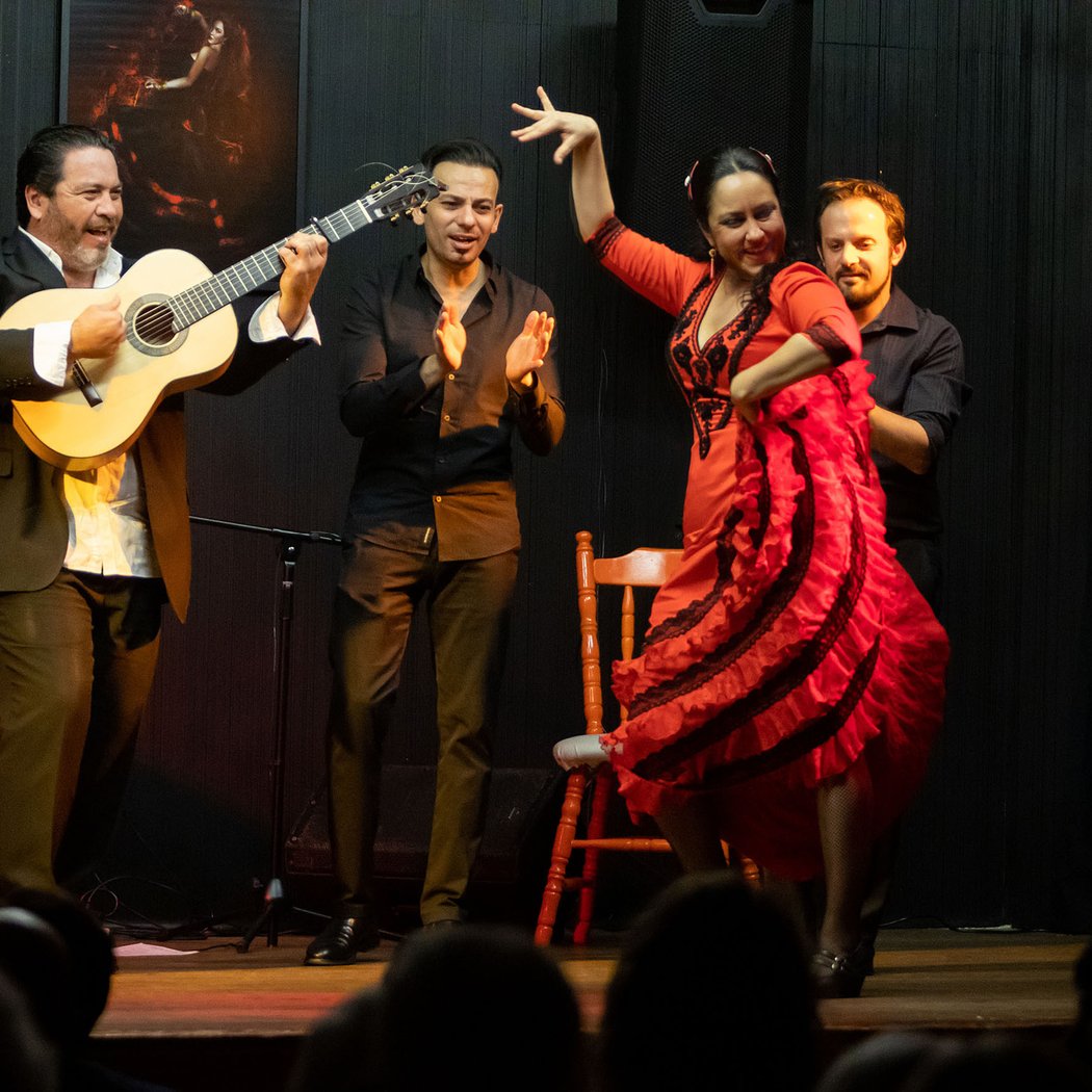 Espectáculo Flamenco 2