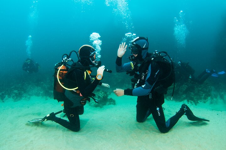 Double Dive Baptism on Berlenga Island 1