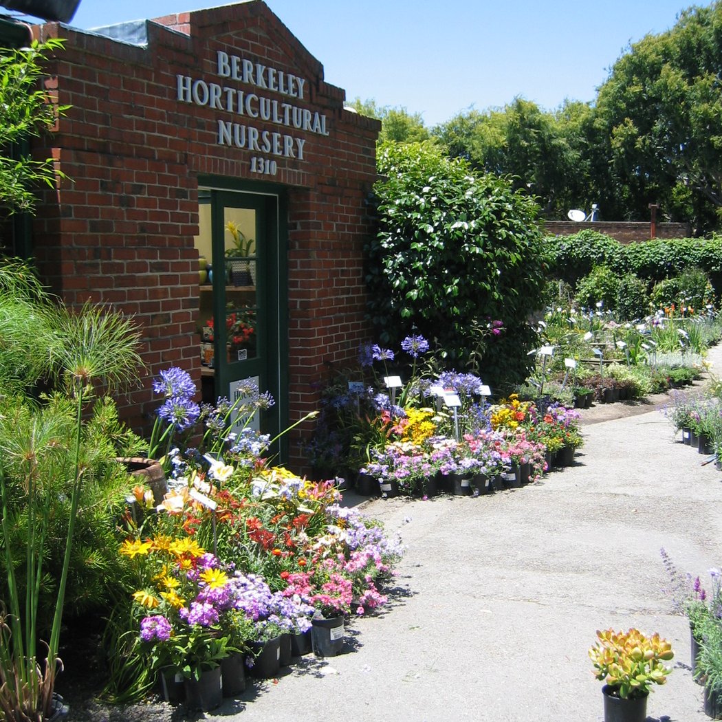 Berkeley Horticultural Nursery 1