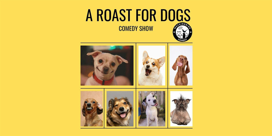 A Roast for Dogs Comedy Show 1