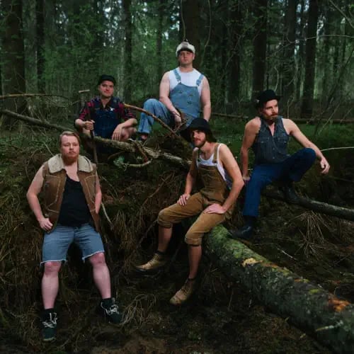 STEVE N SEAGULLS 1