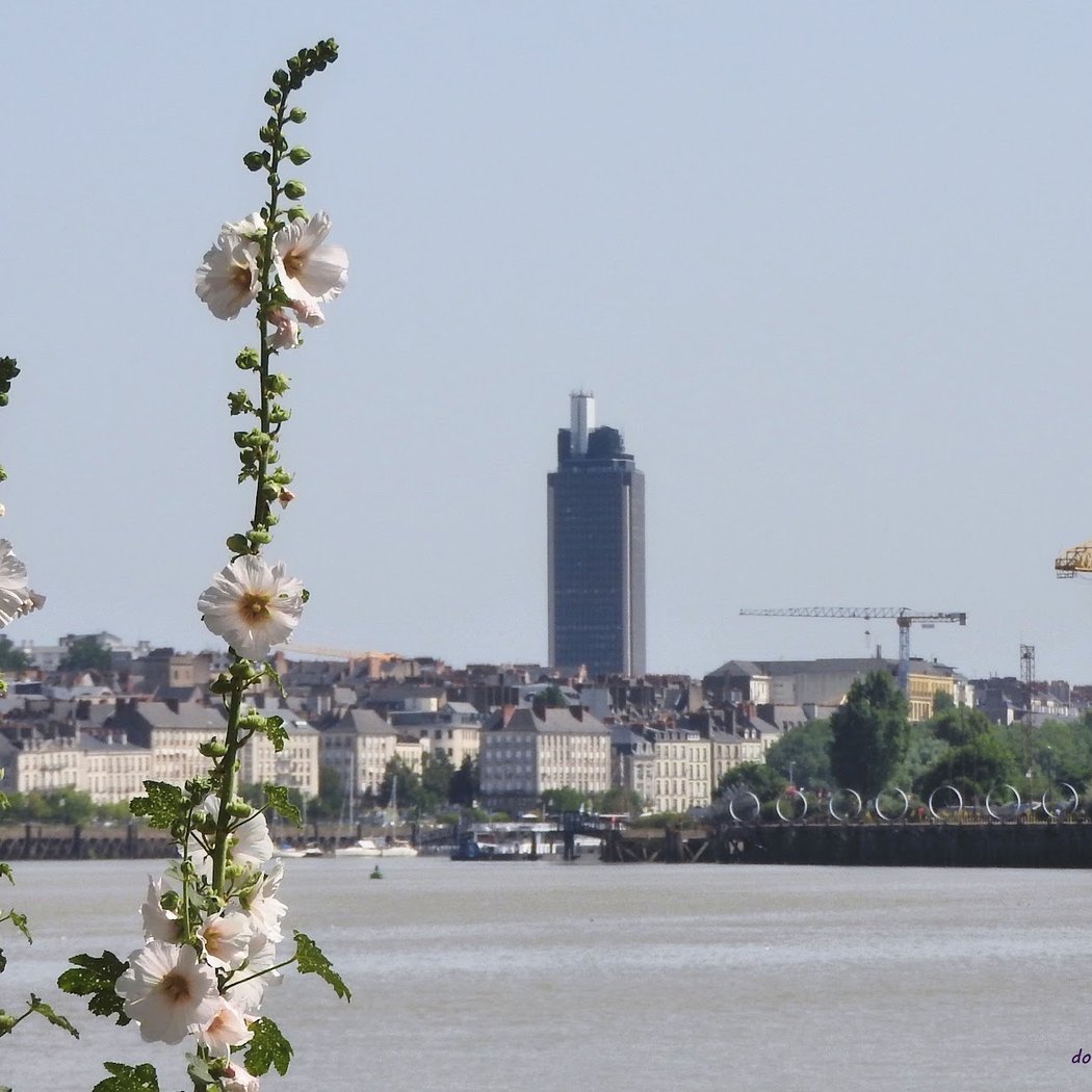 Débord de Loire 3
