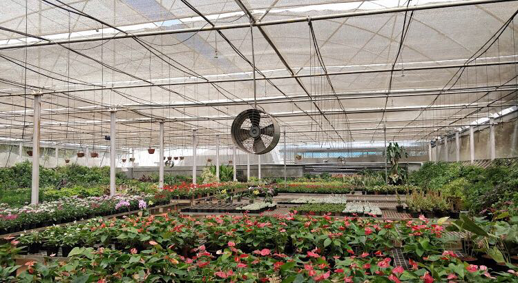 Krishnendra Nursery 2