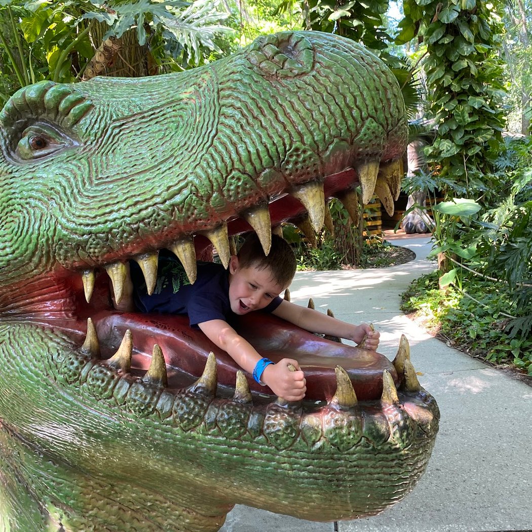 Dinosaur World 1