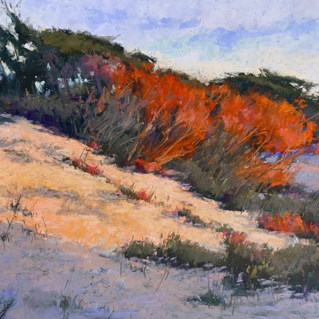 Terri Ford: Solo Exhibition 2