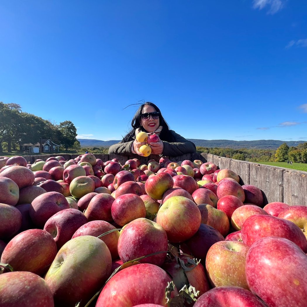 Apple Hill Farm 1