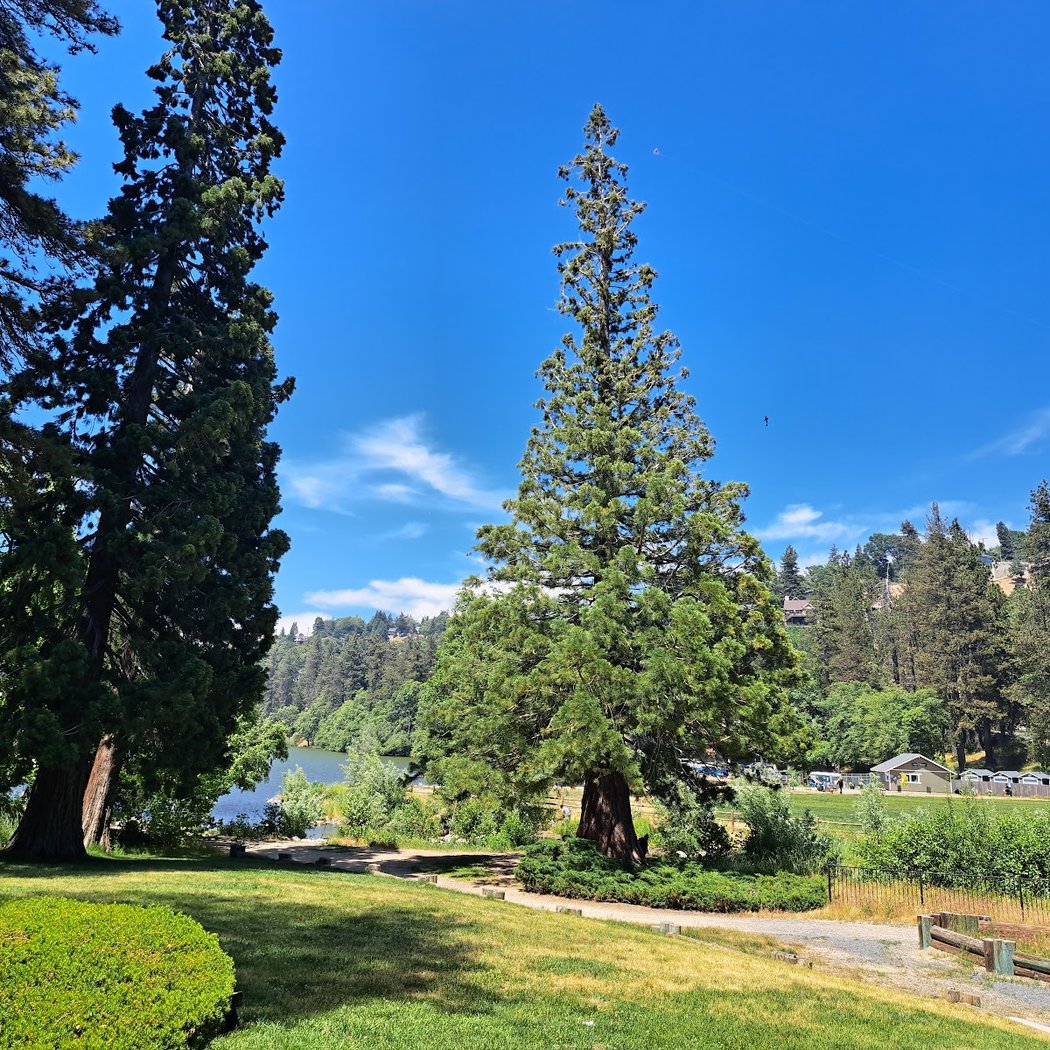 San Moritz Lodge 5