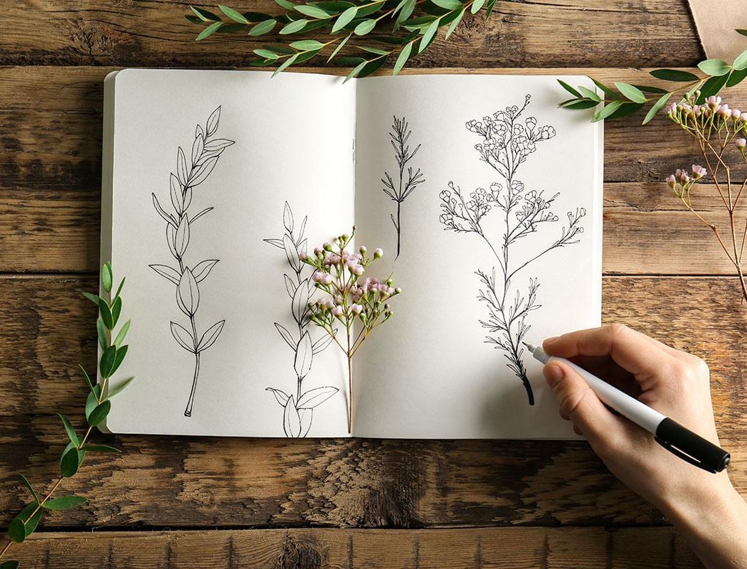 Chill Sketching: Learn to Sketch What You See 1