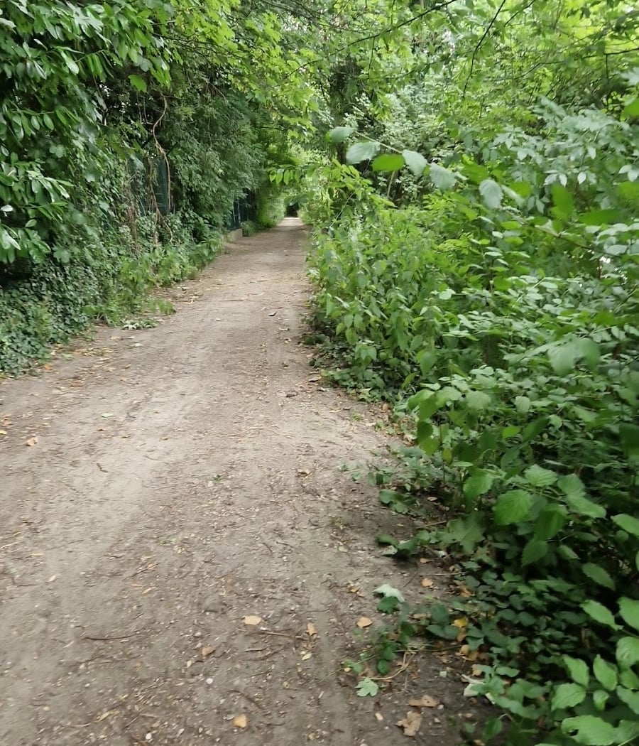 Ballade canine 3