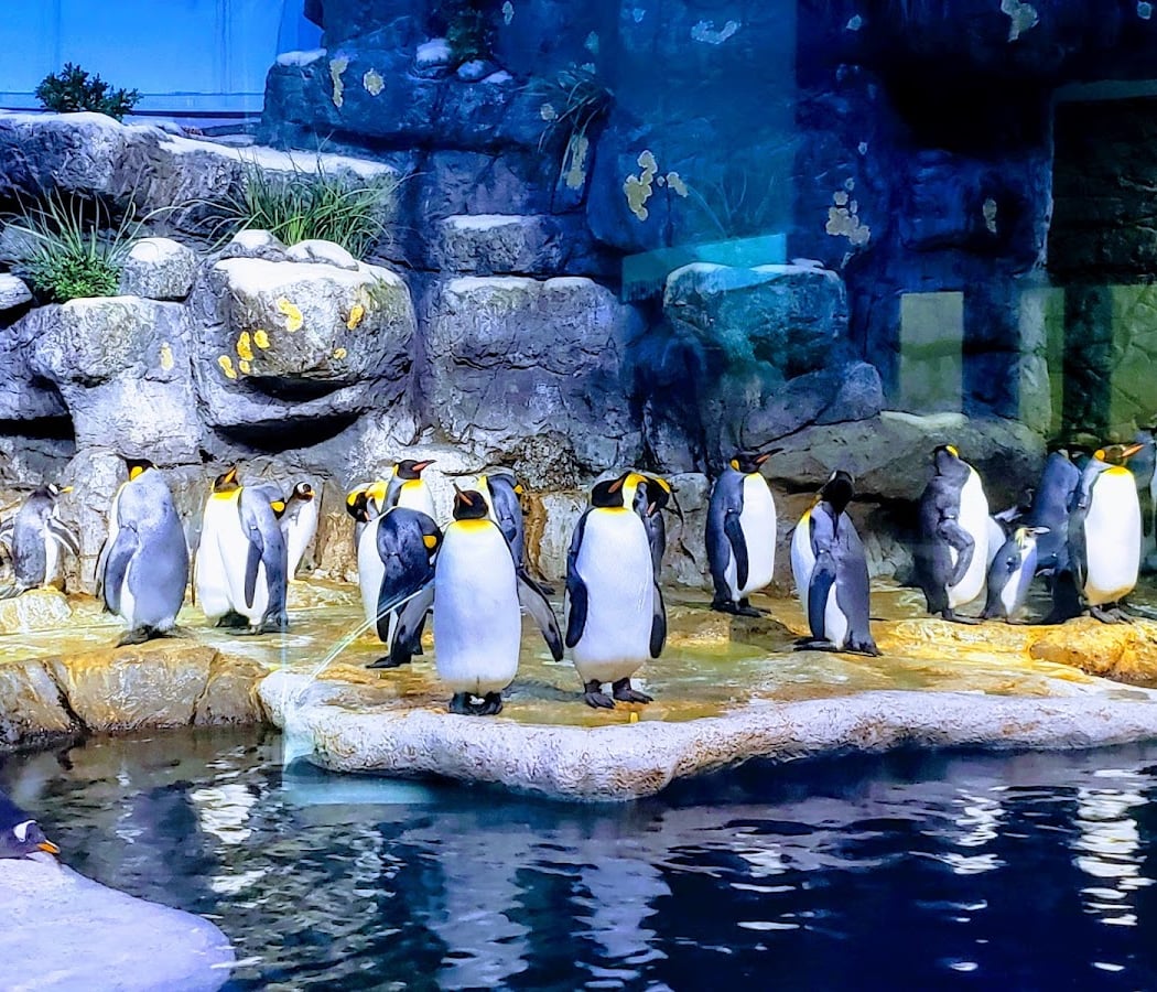 Moody Gardens Attractions Theme Park 3