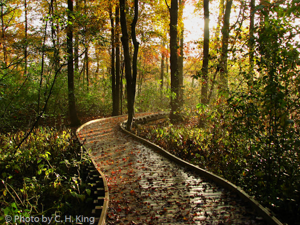 Silver Lake Nature Center 1
