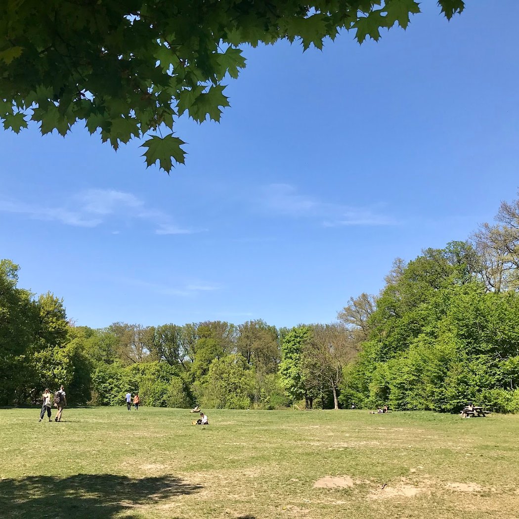 Kreuzeichenwiese 1
