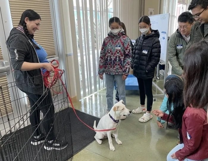Yappy Hour December 13 1