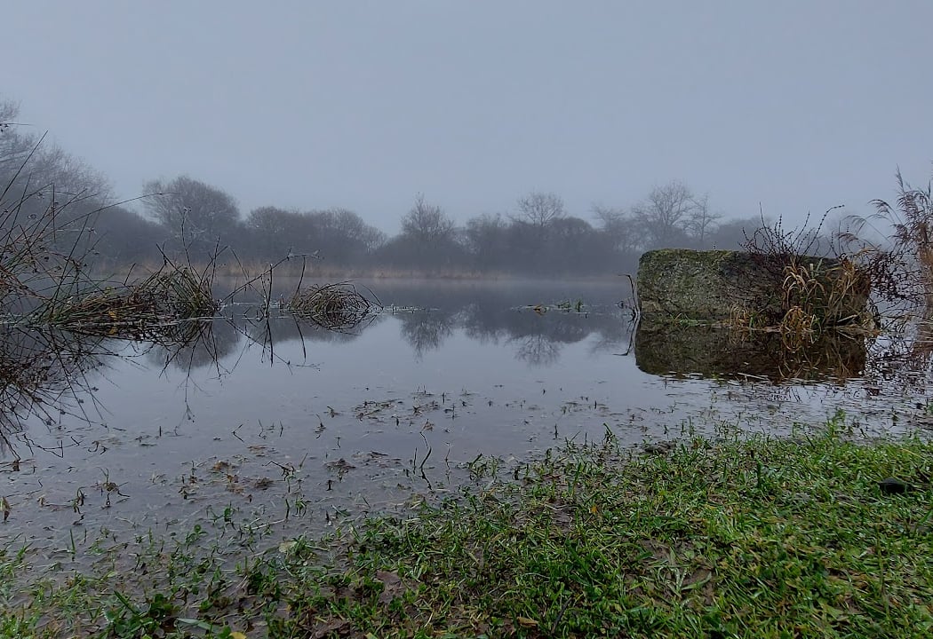 Etang des Brières du Bourg 3