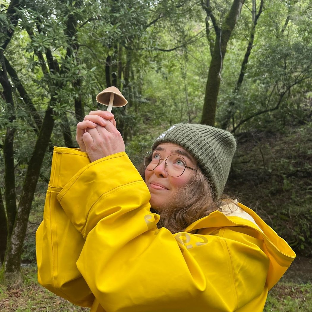 Fun with Fungus Walk 1