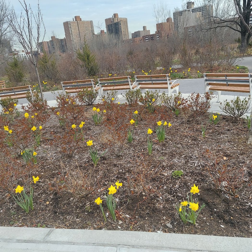 Kissena Corridor Meditation Garden (Interfaith) 1