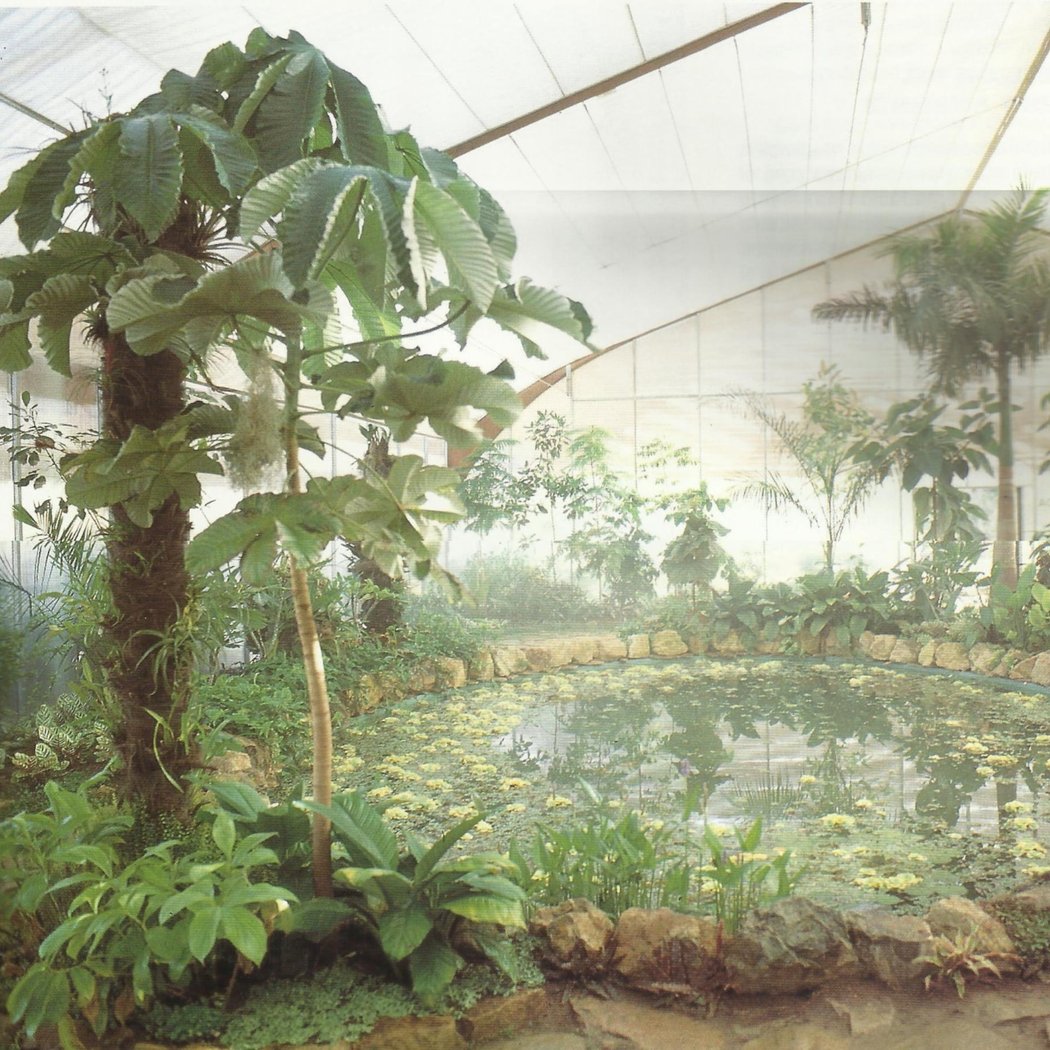 Jardín Americano 2