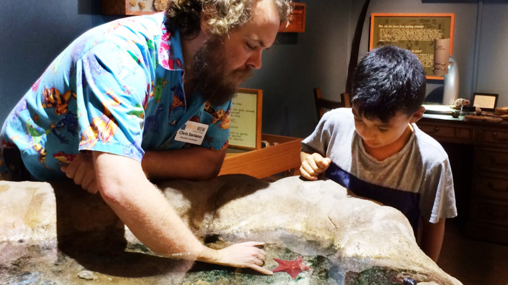 Santa Cruz Museum of Natural History 1