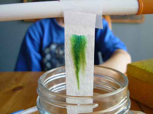 Coffee-Filter Chromatography 2
