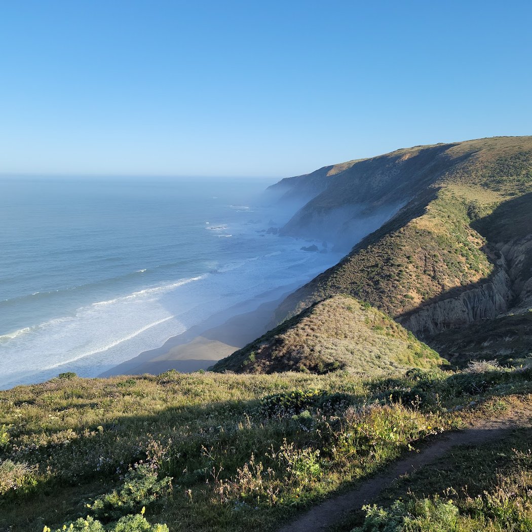 Tomales Point 4