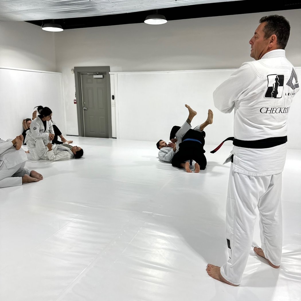 Jiu-Jitsu Adults 60 Min 3