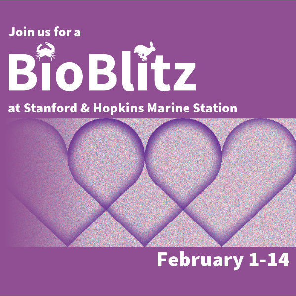 BioBlitz 2026 1