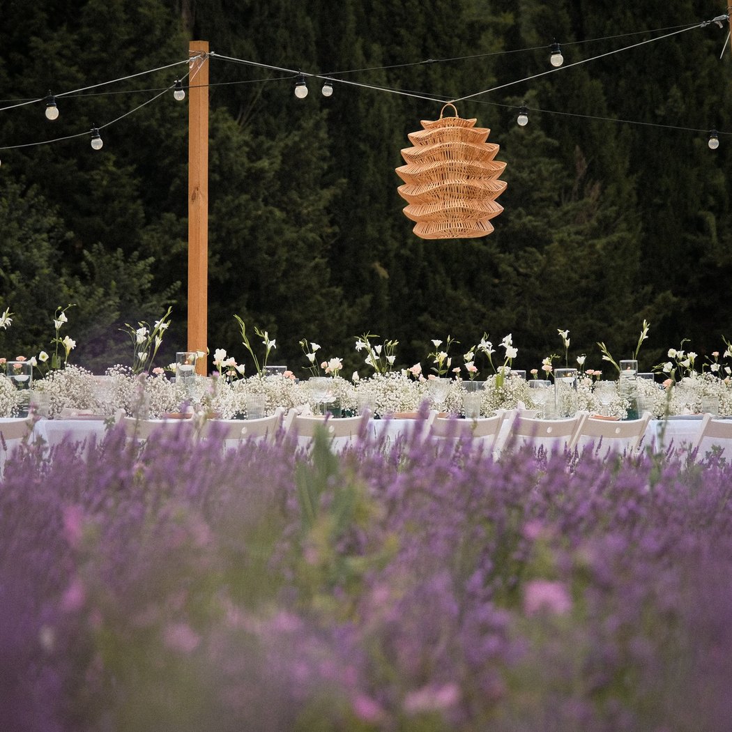 Lavender Night: Pique-Nique Gourmet 2