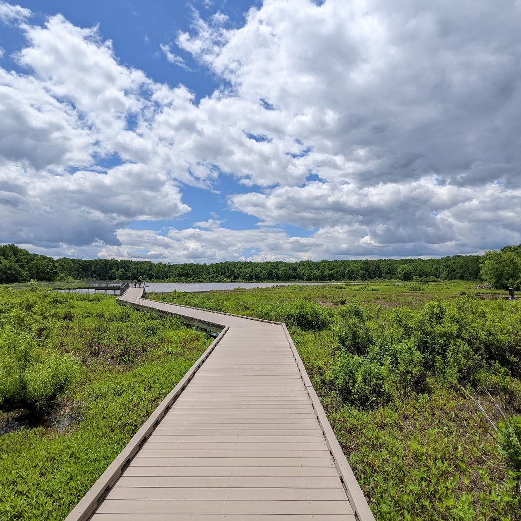 Huntley Meadows Park 2
