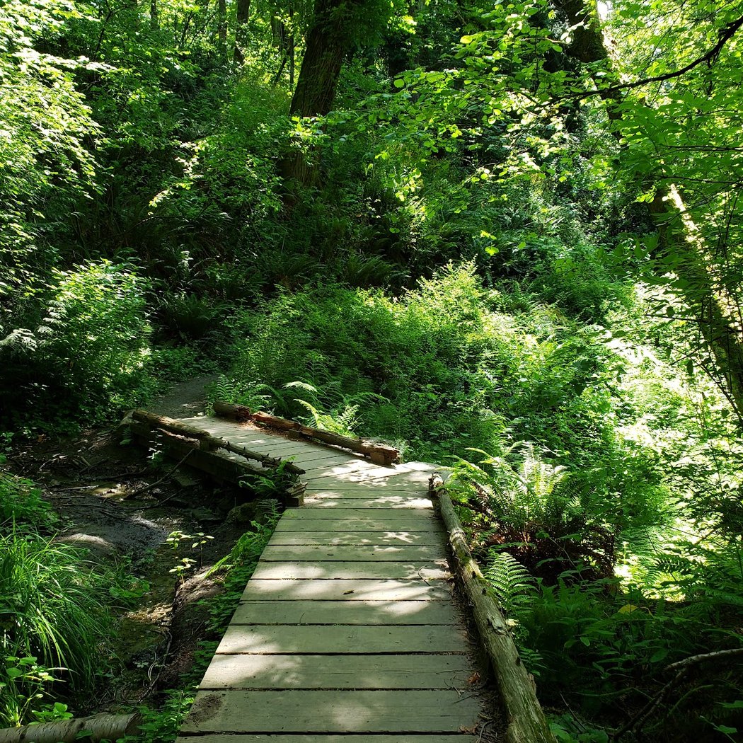 Frink Park 1