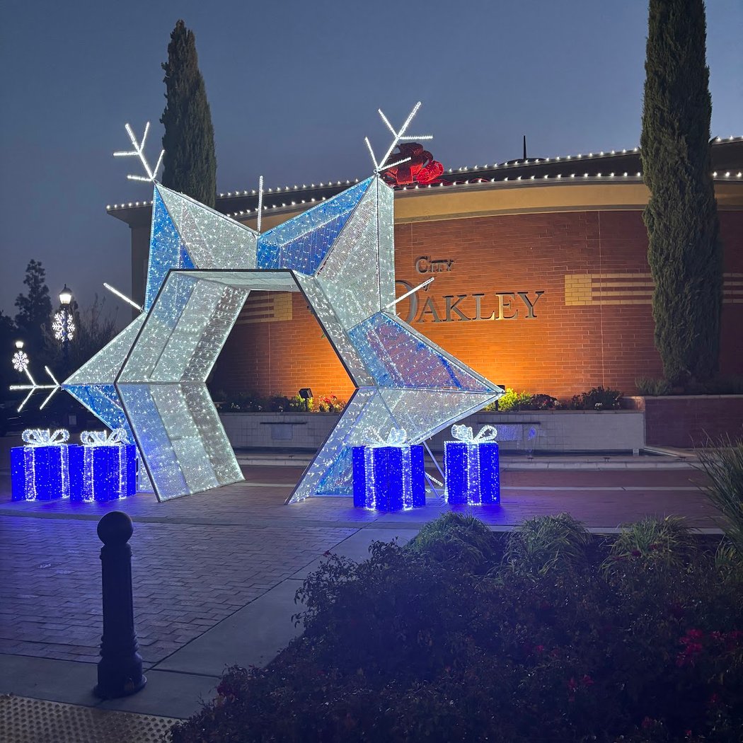 Annual Tree Lighting 1
