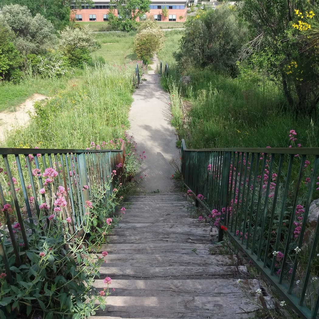 Parc Champêtre 2