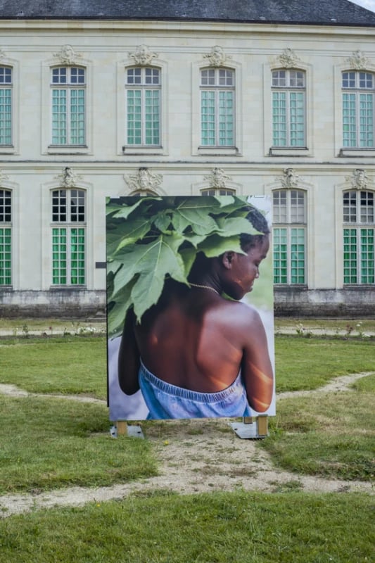 Voir et revoir les cultures Afro-amazoniennes, plantes, habitats et mythes 1