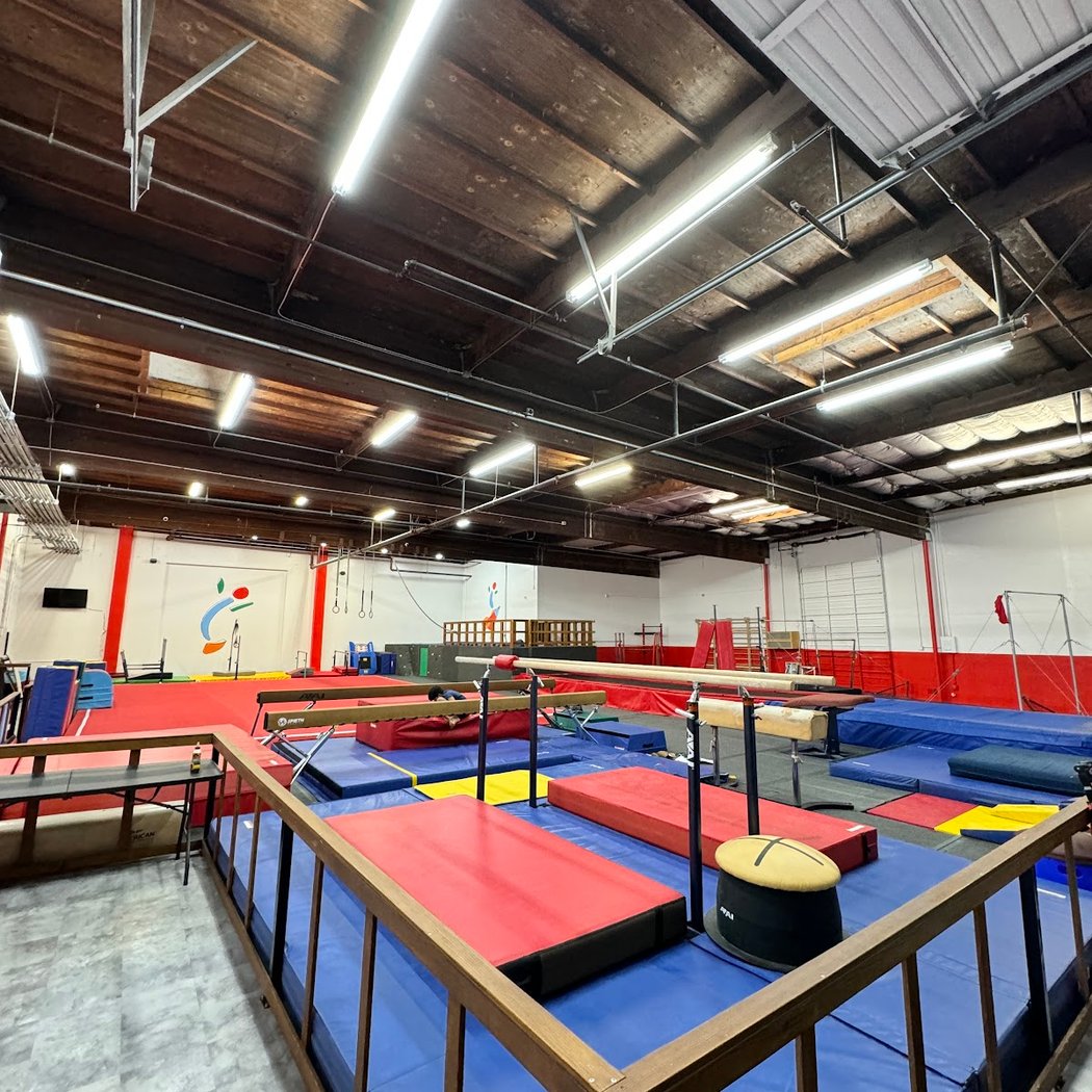 I Flip Gymnastics 2