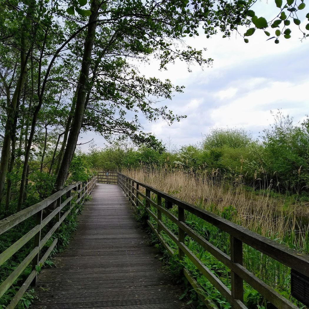 Greenwich Peninsula Ecology Park - TCV 1