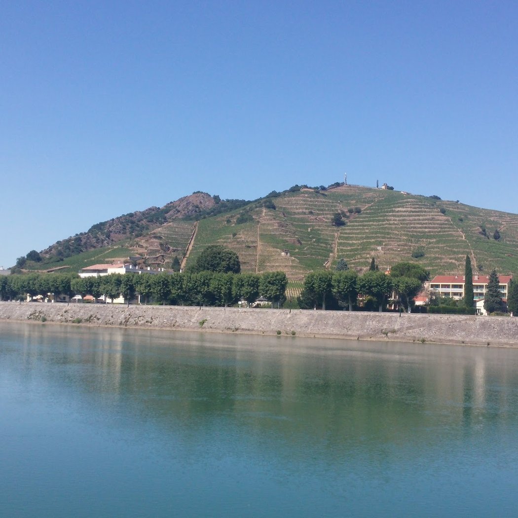 Crozes-Hermitage 1