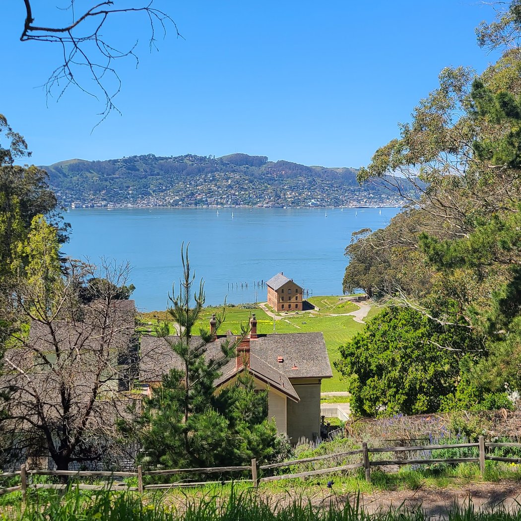 Angel Island State Park — Ferry Day Hike 1